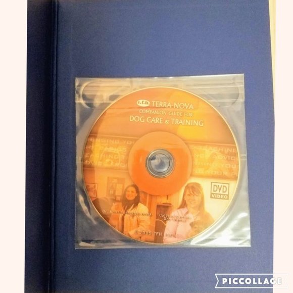 THE BASSET HOUND Book With Training DVD - Picture 4 of 6